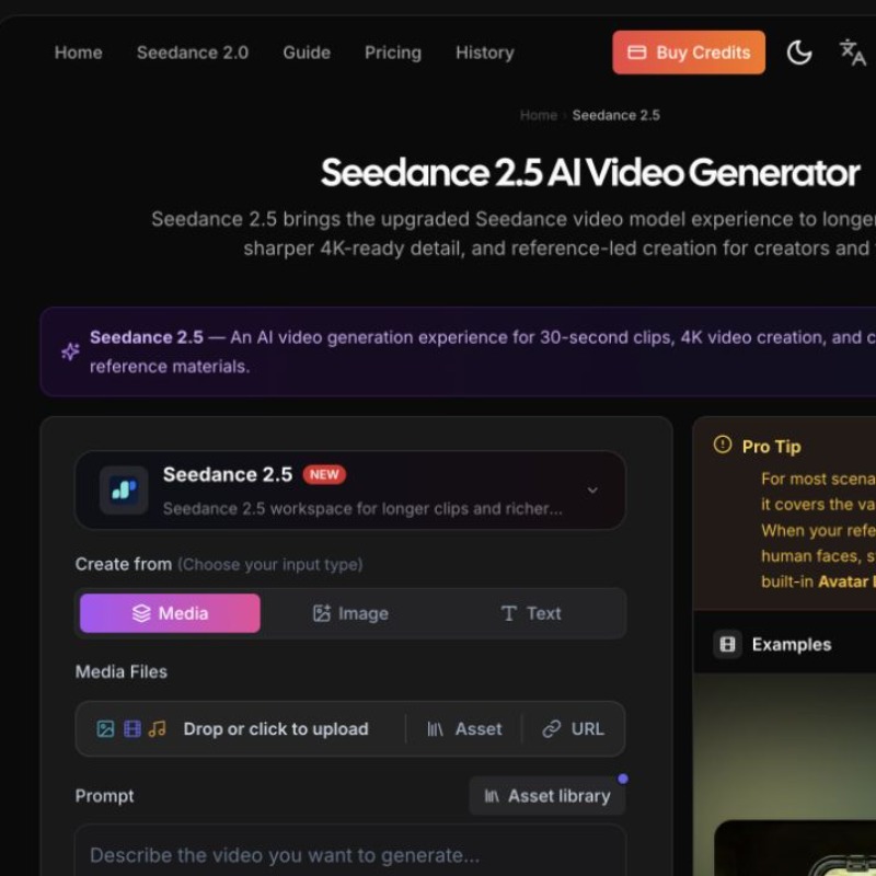 Seedance 2.5